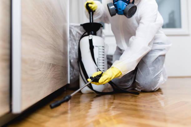 Best Pest Control Near Me in Miami, OK