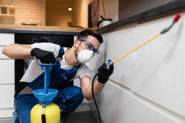 Best Pest Prevention Services  in Miami, OK