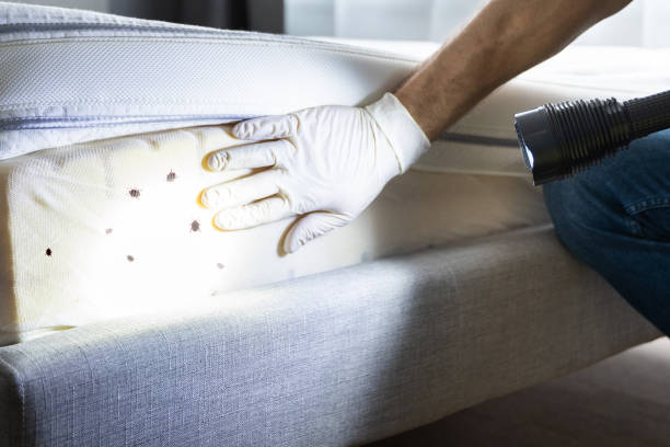 Pest Control Cost in Miami, OK