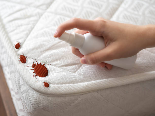 Best Commercial Pest Control Services  in Miami, OK