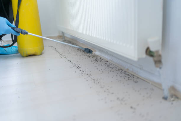  Miami, OK Pest Control Pros