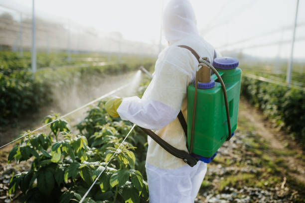 Best Ant Control Services  in Miami, OK